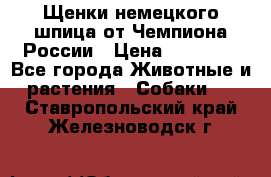 Щенки немецкого шпица от Чемпиона России › Цена ­ 50 000 - Все города Животные и растения » Собаки   . Ставропольский край,Железноводск г.